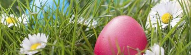 Blindfolded Adult Egg Hunt 2:00 pm @Ridgewood Winery Birdsboro 4.27.24